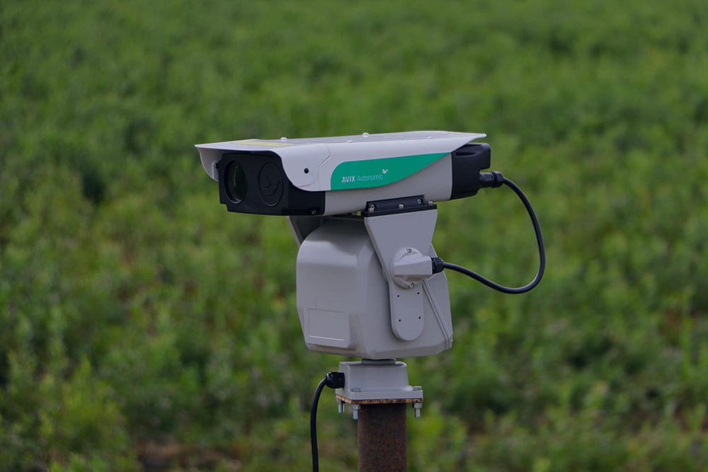 AVIX Autonomic automated laser bird deterrent unit installed on-site
